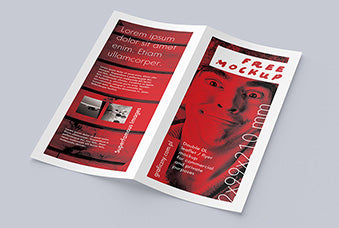 Bi-Fold Dl Leaflet Mockup