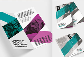 Bi-Fold Dl Leaflet Mockup