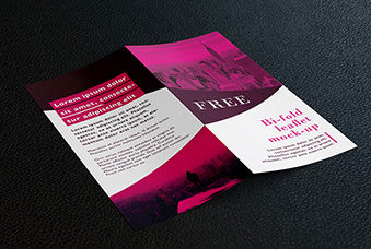 Bi Fold Dl Leaflet Mockup