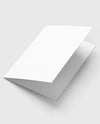 Bi Fold Leaflet Mockup / Edition