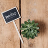 Blackboard Mock-Up With Beautiful Plant Psd