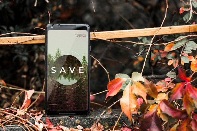 Blank Screen Concept Mock-Up Psd