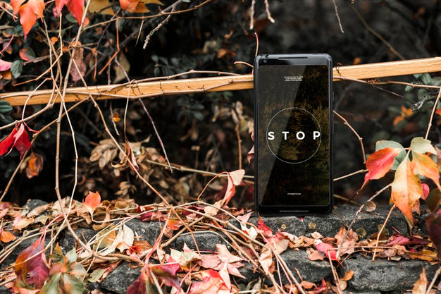 Blank Screen Concept Mock-Up Psd