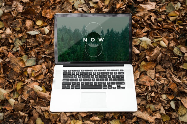 Blank Screen Concept Mock-Up Psd