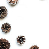 Blank Space With Pine Cones Mockup