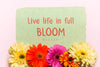 Blooming Flowers With Motivational Text Psd