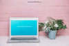 Botanical Mockup With Laptop And Flower Pot Psd