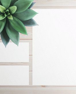 Branding – 2 Psd Mockups