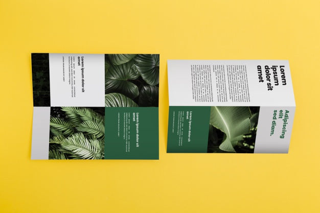 Brochure Concept Mock-Up Psd