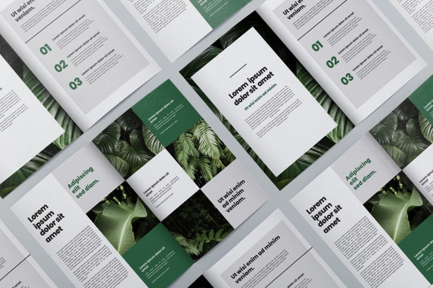 Brochure Concept Mock-Up Psd