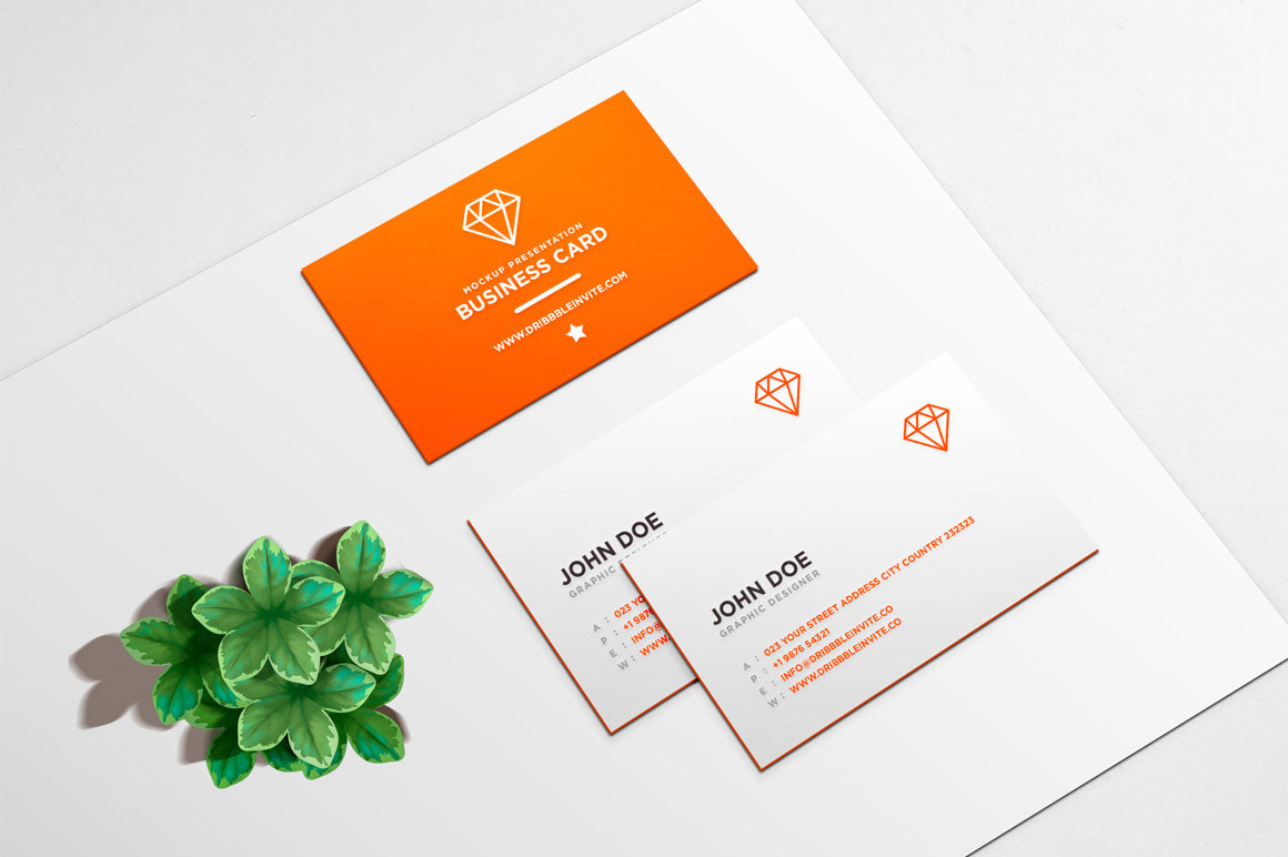 Business Card Mockup Vol.1