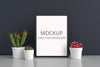 Cactus And Succulent Pot Plant With Frame Mockup Psd