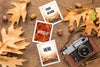 Camera And Photos With Autumn Leaves Psd