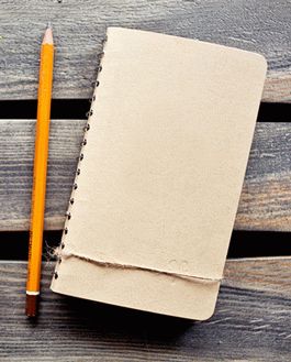 Canvas Mockup Download