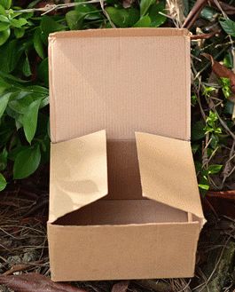 Cardboard Box Mockup
