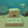 Cardboard Boxes And Sea Life With Mock-Up Concept Psd