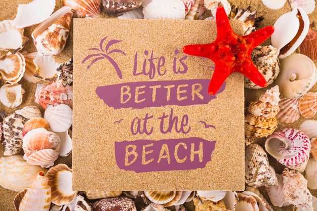 Cardboard Mockup On Shells Psd