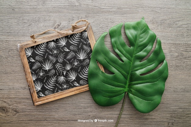 Chalkboard And Leaf Psd