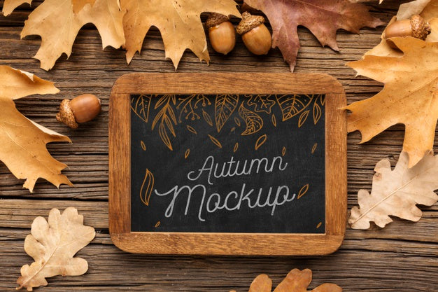 Chalkboard With Acorns Psd