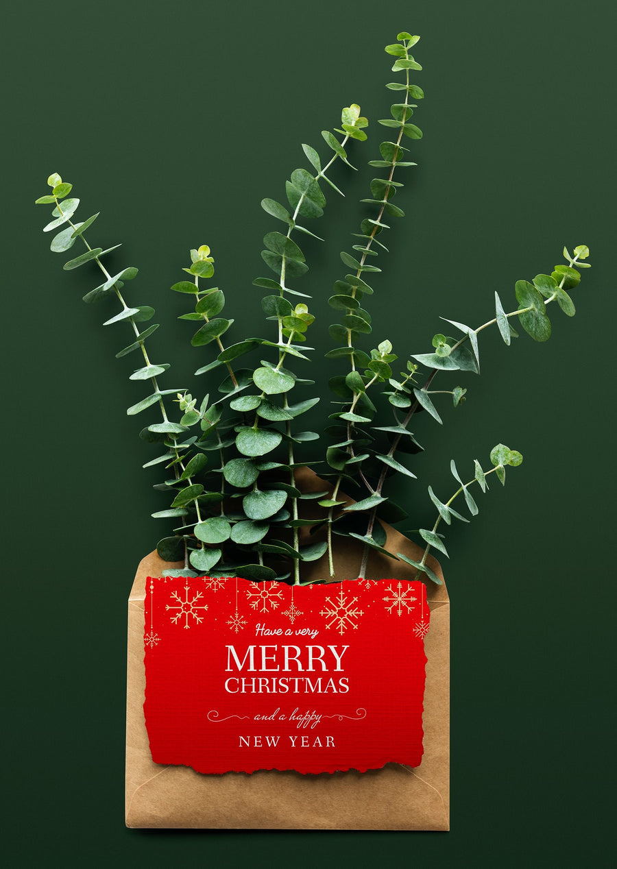 Christmas Holiday Greeting Design Mockup