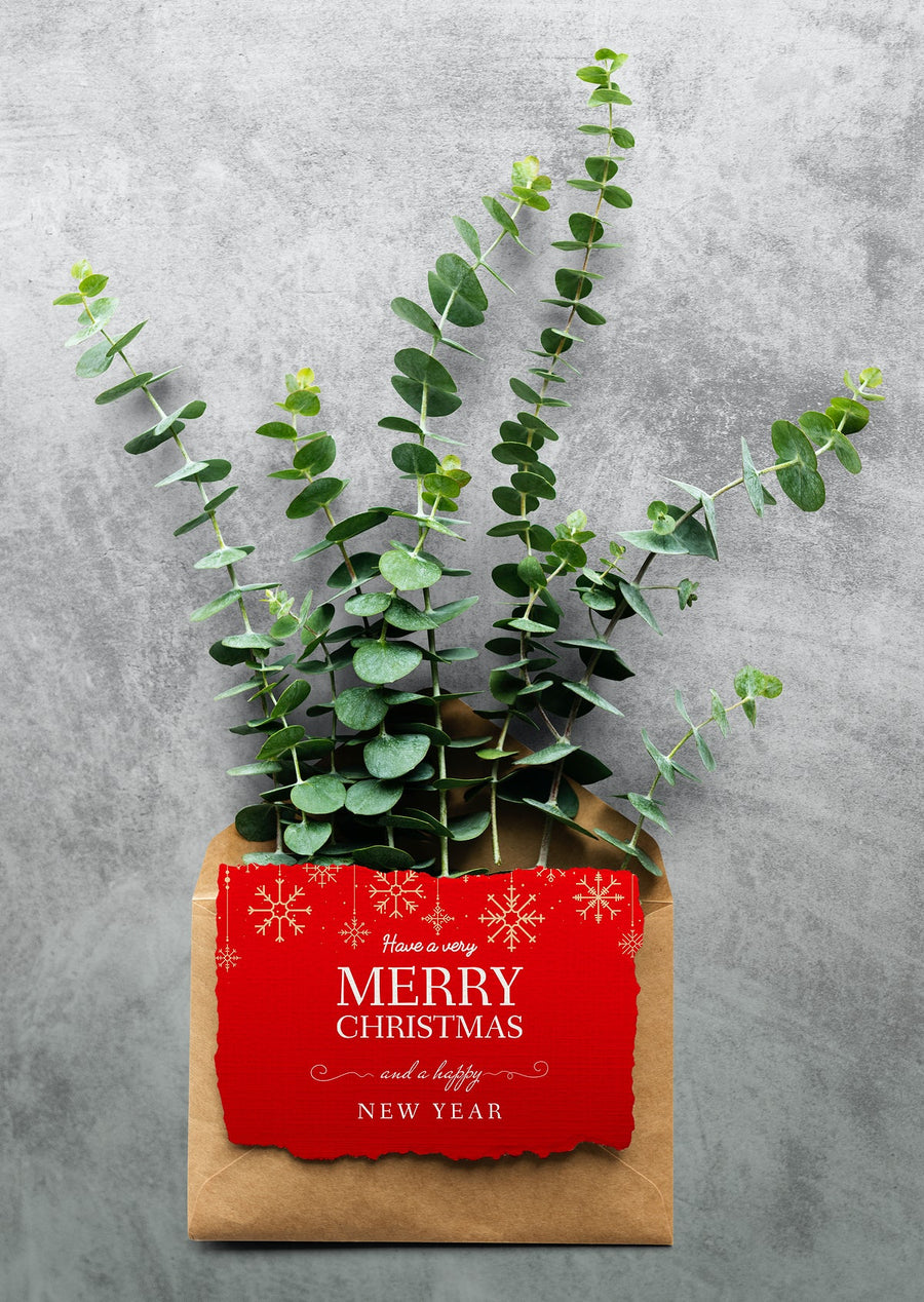 Christmas Holiday Greeting Design Mockup