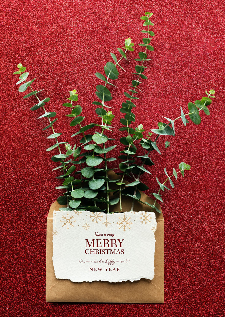 Christmas Holiday Greeting Design Mockup