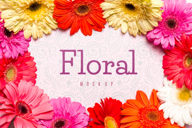 Circular Frame With Colorful Daisies Psd