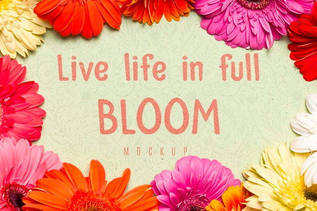 Circular Frame With Colorful Flowers Psd