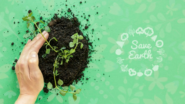 Close-Up Hand Holding The Ground Psd