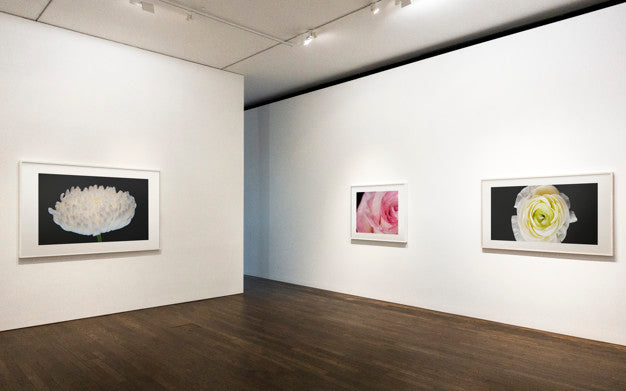 Collection Of Art Pieces On A Wall Psd