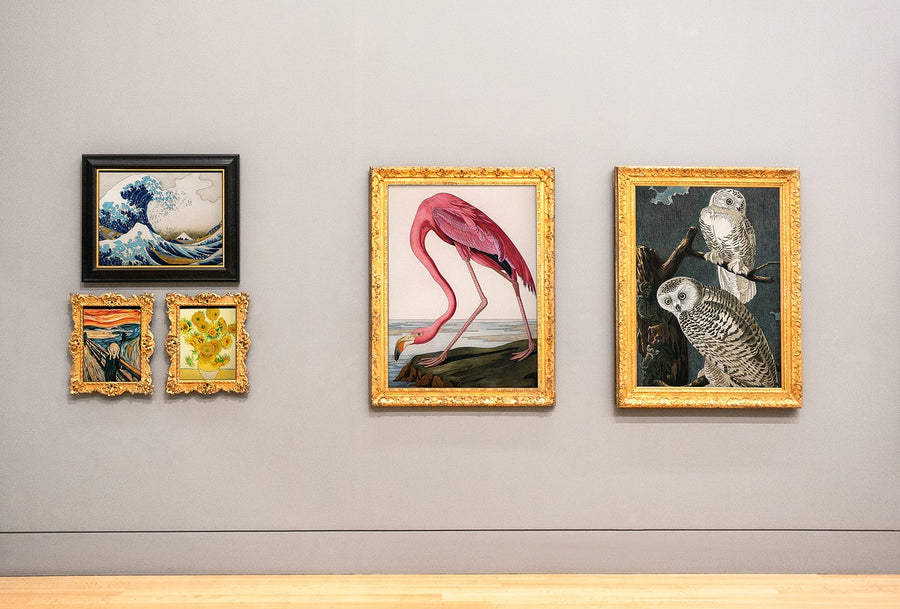 Collection Of Art Pieces On The Wall