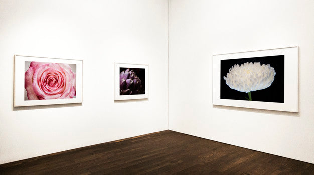 Collection Of Floral Art Pieces On The Wall Psd