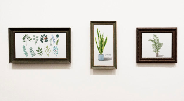 Collection Of Leaf Art Pieces On A Wall Psd