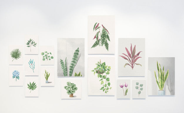 Collection Of Leaf Paintings On A Wall Psd