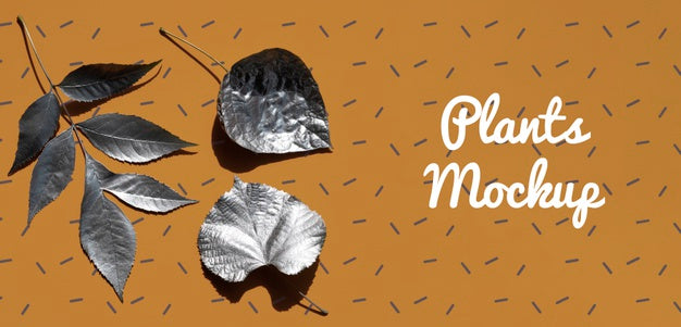 Collection Of Natural Branch With Leaves Psd