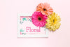 Colorful Flowers On White Frame Psd