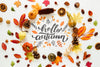 Colourful Decor Of Dried Autumn Leaves Psd