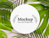 Composition Of Green Leaves With Mock-Up Psd