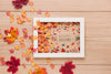 Cute Arrangement Of Dried Leaves Of All Sizes Psd