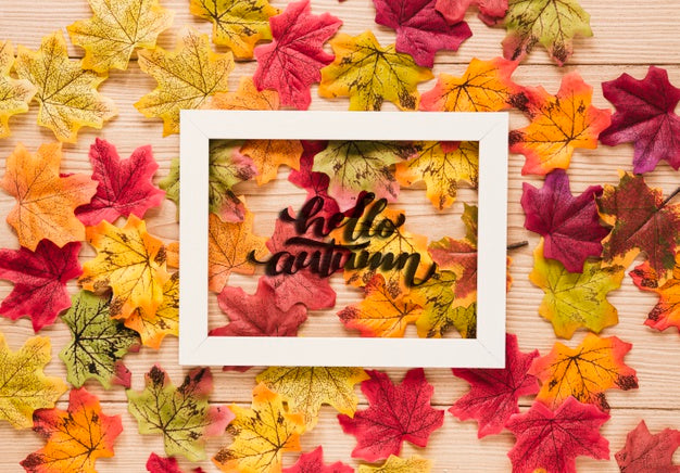 Cute Arrangement Of Dried Leaves Psd