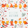 Cute Arrangement Of Dried Leaves Top View Psd