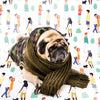 Cute Dog Covered With Winter Clothing Psd