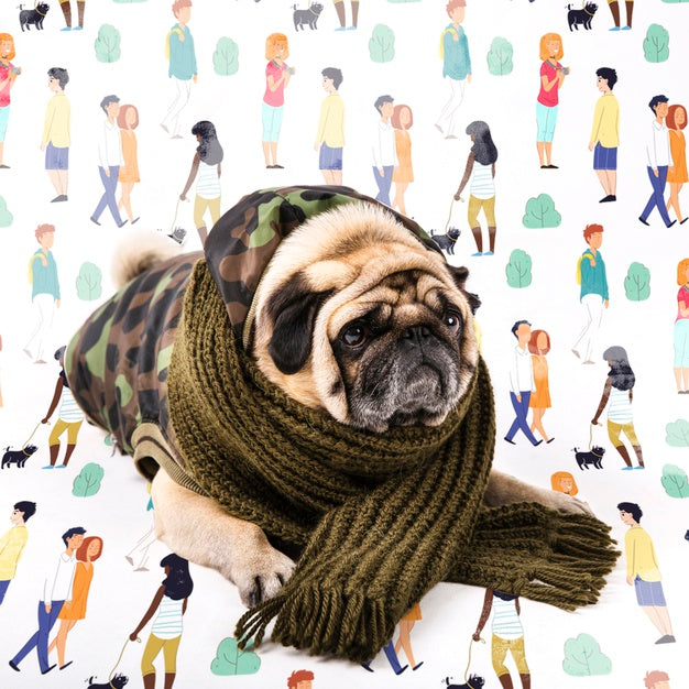 Cute Dog Covered With Winter Clothing Psd