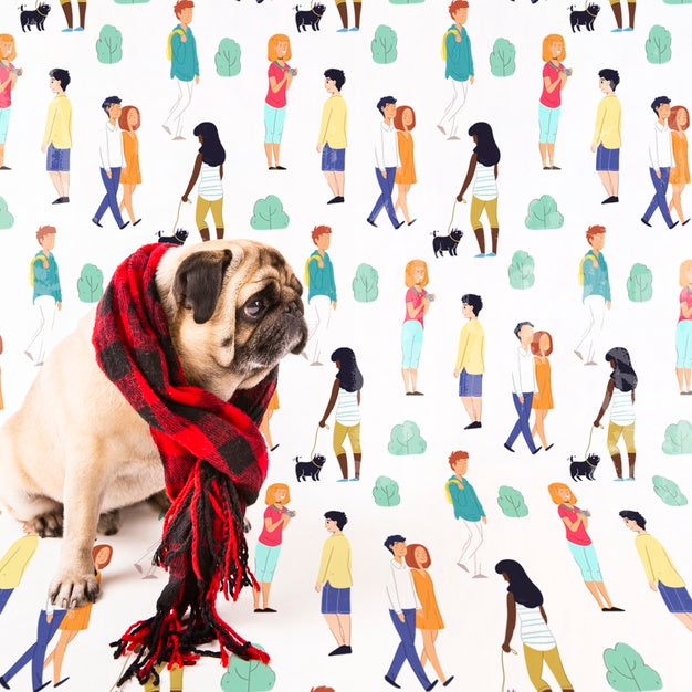 Cute Dog Wearing Winter Shawl Psd