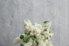 Decoration With White Lilac Mockup Psd