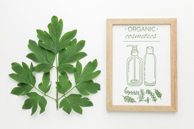 Decorative Frame Concept Mock-Up Psd