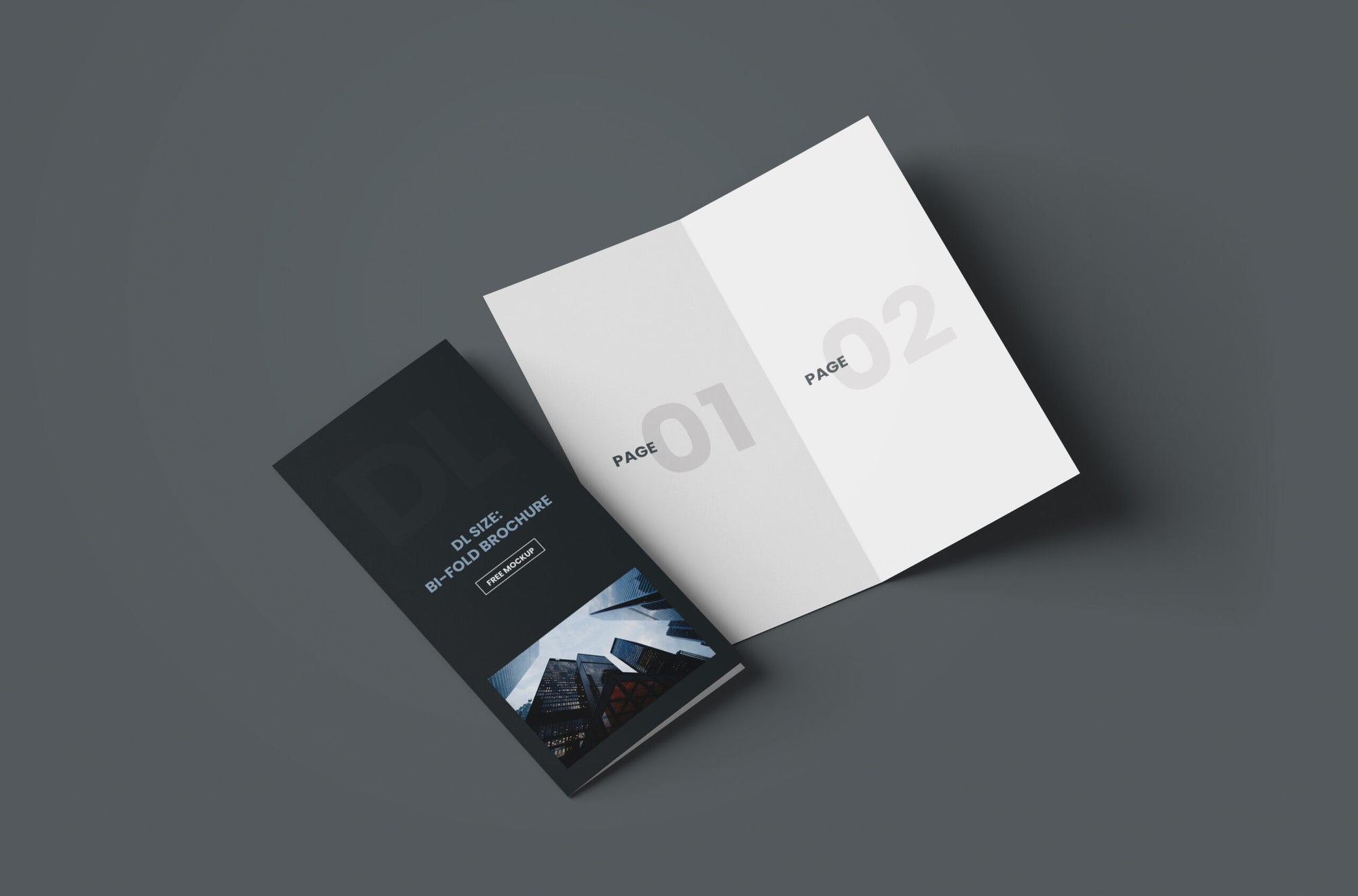 Dl Bi-Fold Brochure Mockup