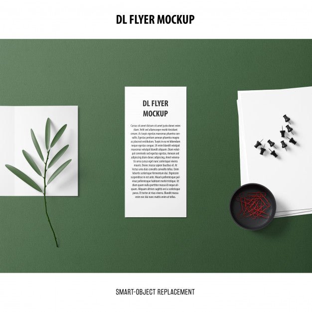Dl Flyer Mockup Psd
