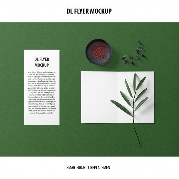 Dl Flyer Mockup Psd