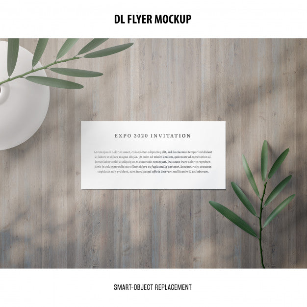 Dl Flyer Mockup Psd
